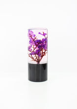 Load image into Gallery viewer, The Purple Sakura
