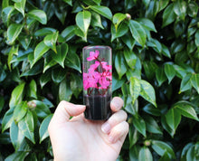 Load image into Gallery viewer, The Sakura Shiftknob